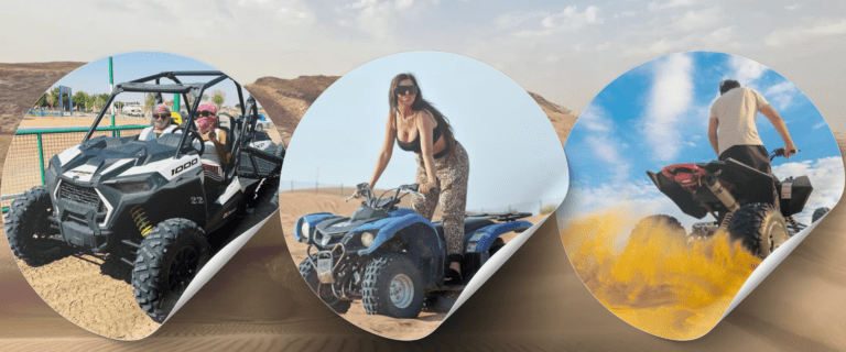 Self-Drive Buggy Safari