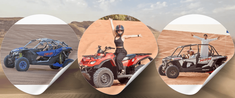self drive buggy safari