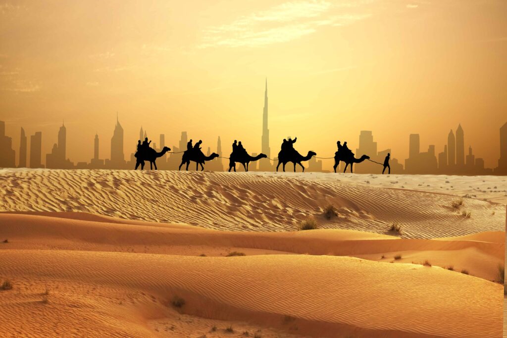 Book Tours in Dubai