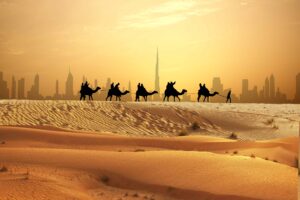 Book Tours in Dubai