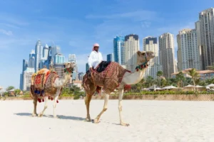 Book Dubai Tour Packages