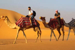 VIP Desert Safari Dubai