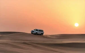 Morning Desert Safari in Dubai
