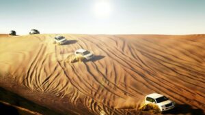 Best Dubai Desert Safari Operator