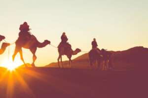 Best Dubai Desert Safari Operator
