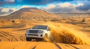 Dubai Desert Safari and Buggy Tours