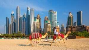 Top Trending Tours in Dubai