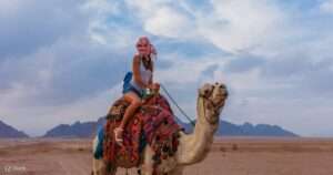 Desert Safari in Dubai with Camel Ride and BBQ