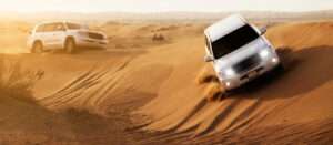 How to Choose the Best Safari Dubai Package