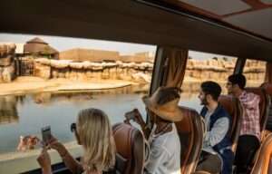 How to Choose the Best Safari Dubai Package