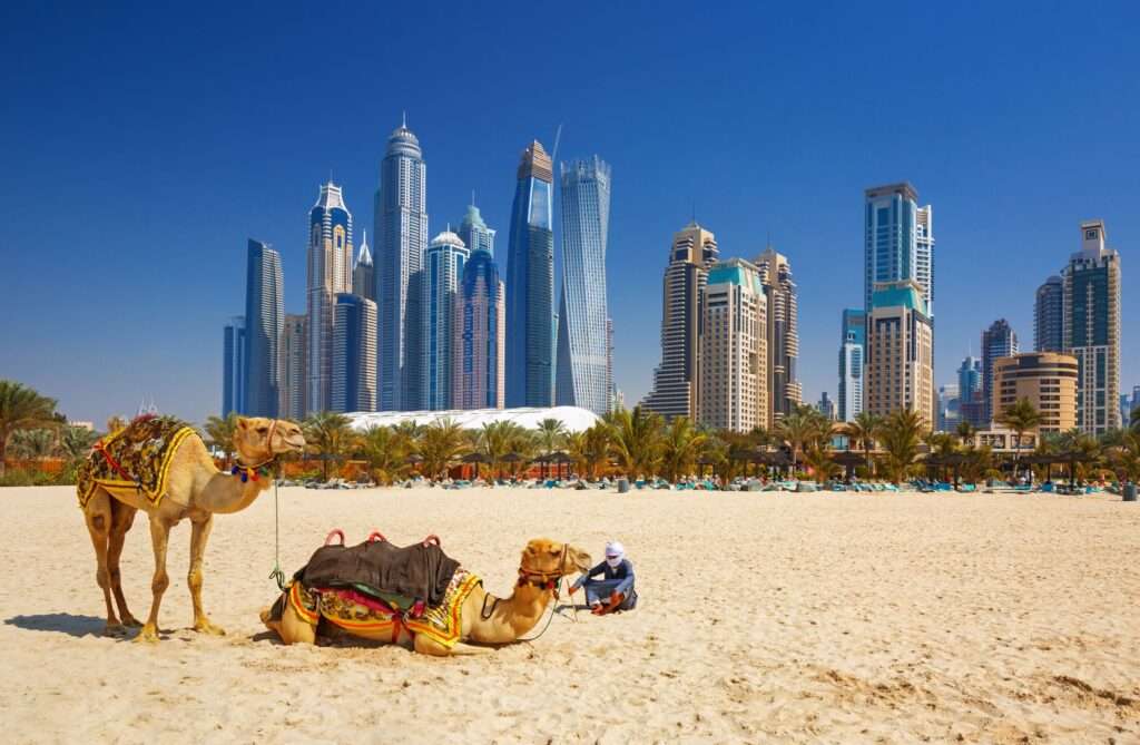 top trending tour in dubai