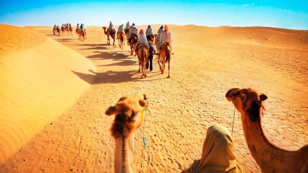 Desert Safari Dubai Dinner Menu
