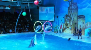 Top Indoor Destinations to Visit in Dubai During Summer