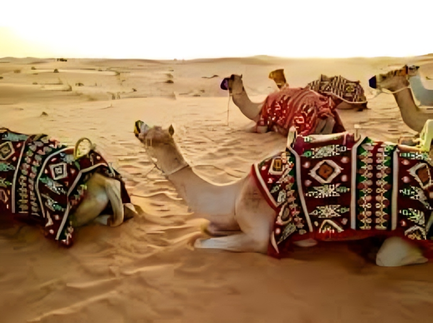 Standard Dubai desert safari with 4x4 dune bashing and BBQ dinner