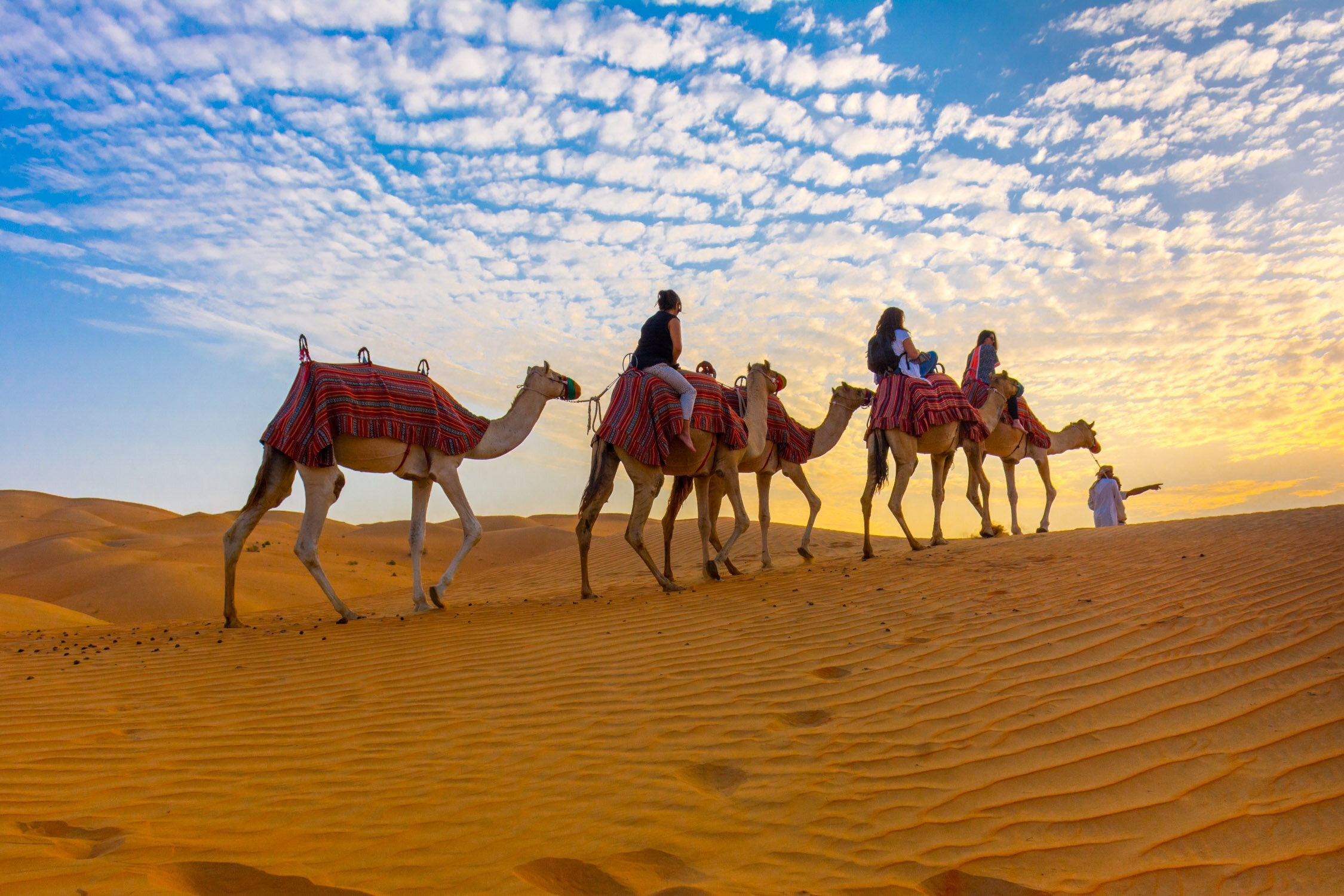 abu dhabi web