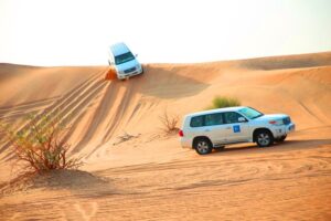 VIP Dune Bashing and BBQ Dinner