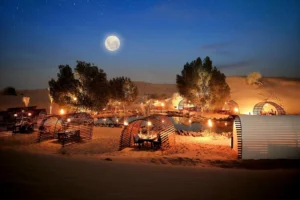 Luxury Desert Safari Dinner in Dubai